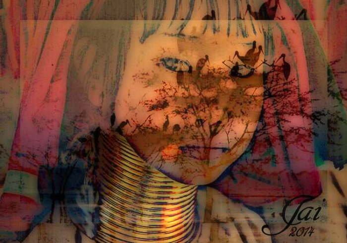 gall6-14