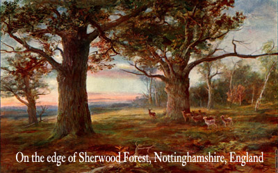On-the-Edge-of-Sherwood-Forest