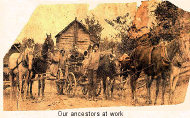 GreenCo- Tennessee