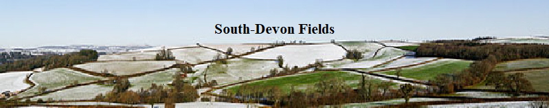 South-Devon Fields